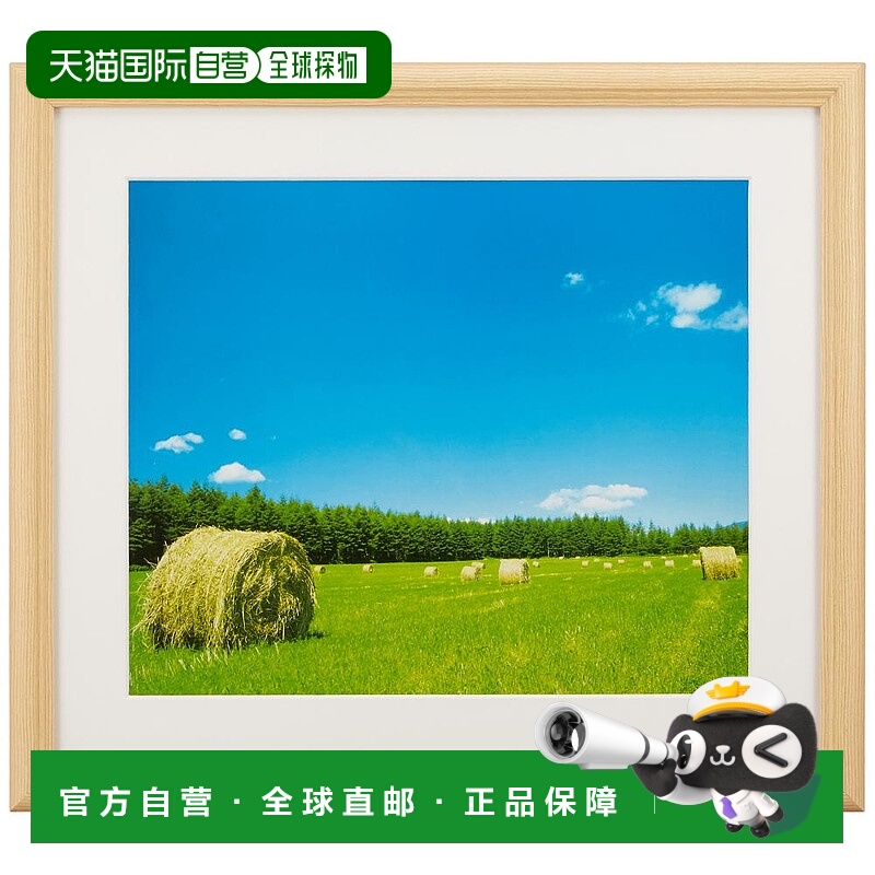 【日本直邮】Fujicolor富士胶片 相框YM-3亚克力 木质 4切大小 22