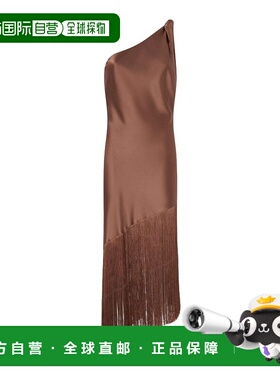 香港直邮PINKO 女士连衣裙 106352A33DL50 SS2026 棕色