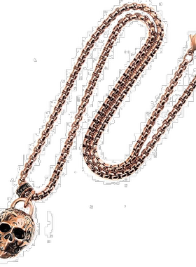 自营 Crucible 洛杉矶蓝色不锈钢 25 毫米骷髅项链配 24 英寸 4