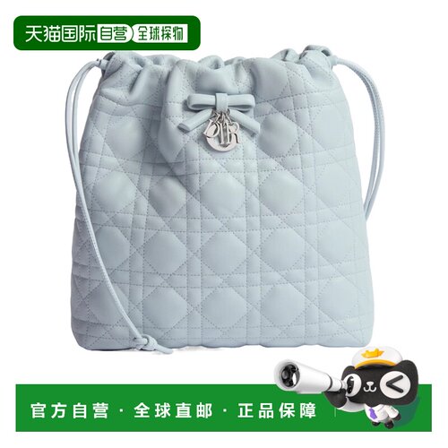 Dior 徽标单肩包 S2611PUQA 【付后1h可退】