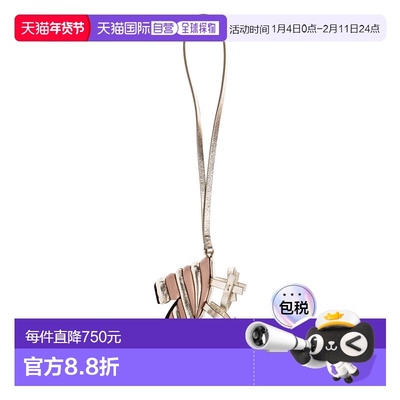 香港直邮FERRAGAMO/菲拉格慕女士手提包220690CHARM787964CHAMPAG