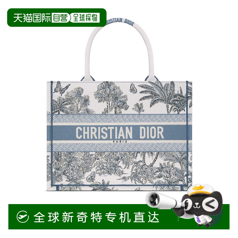 1h可退 香港直邮DIOR 女士手提包 M1296ZEYDM44W AW2025 灰色 Dio