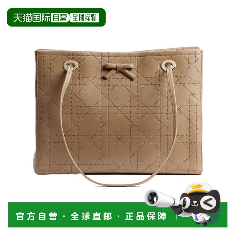 Dior 中号 Dior Promenade 购物袋 M1409OHST手提【付后1h可退】
