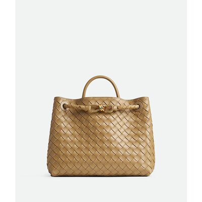 BOTTEGA VENETA 女士斜挎包 766016VCPP19892 AW2024