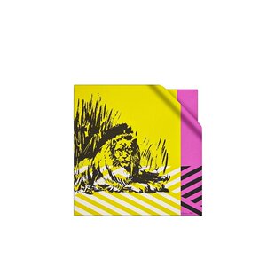 Dior 印花图案丝巾 22ANP090I610