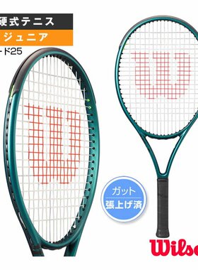 自营｜威尔逊网球Blade25/BLADE25V9WR151610网球拍威尔胜