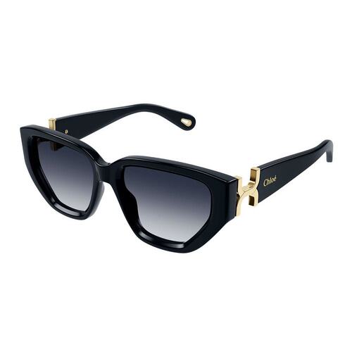 Chloe 蔻依 女士 -sunglasses 太阳镜 CH0235S003B