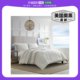 Set Saybrook Twin muted And Nautica cement Comforter Sham