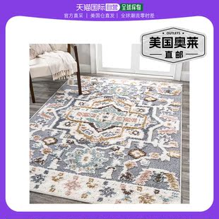 Low Aziza Rug Area Multi High Medallion Persian jonathan