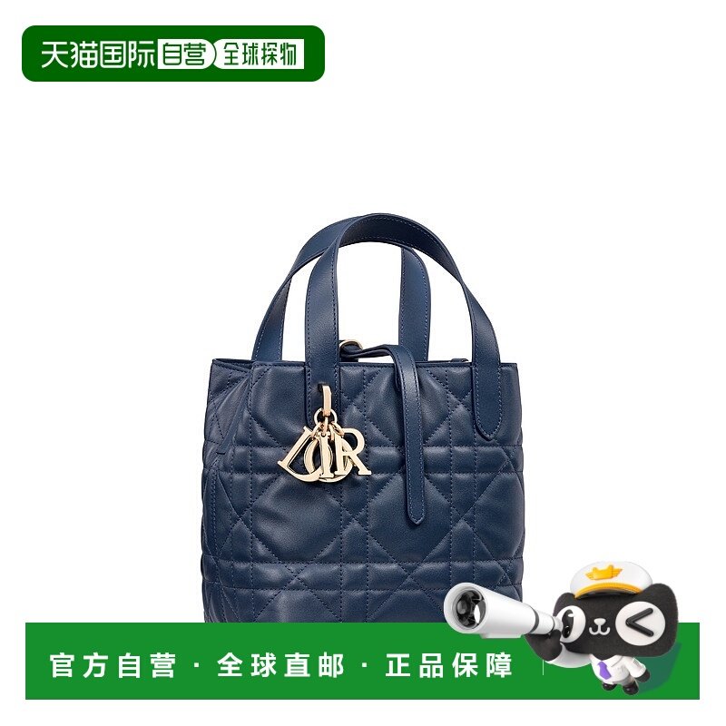 自营1h可退 欧洲直邮Dior/迪奥 女士Toujours Small竖款托特包