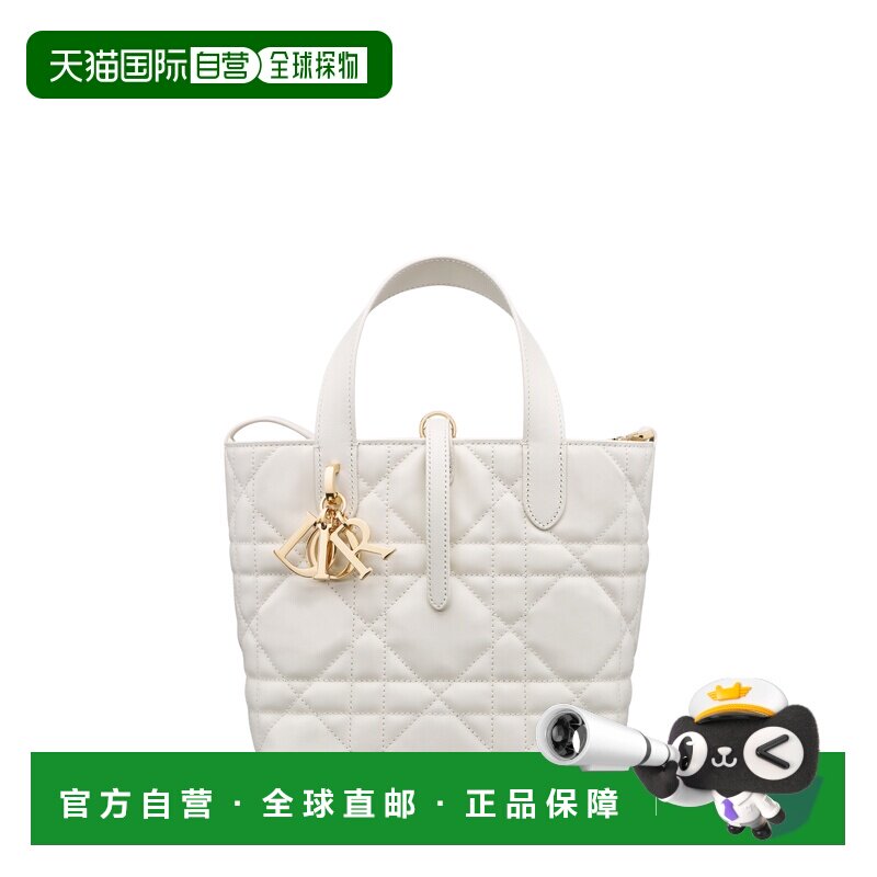 欧洲直邮DIOR迪奥DiorAlways小号托特包女包单肩包斜挎包垂直