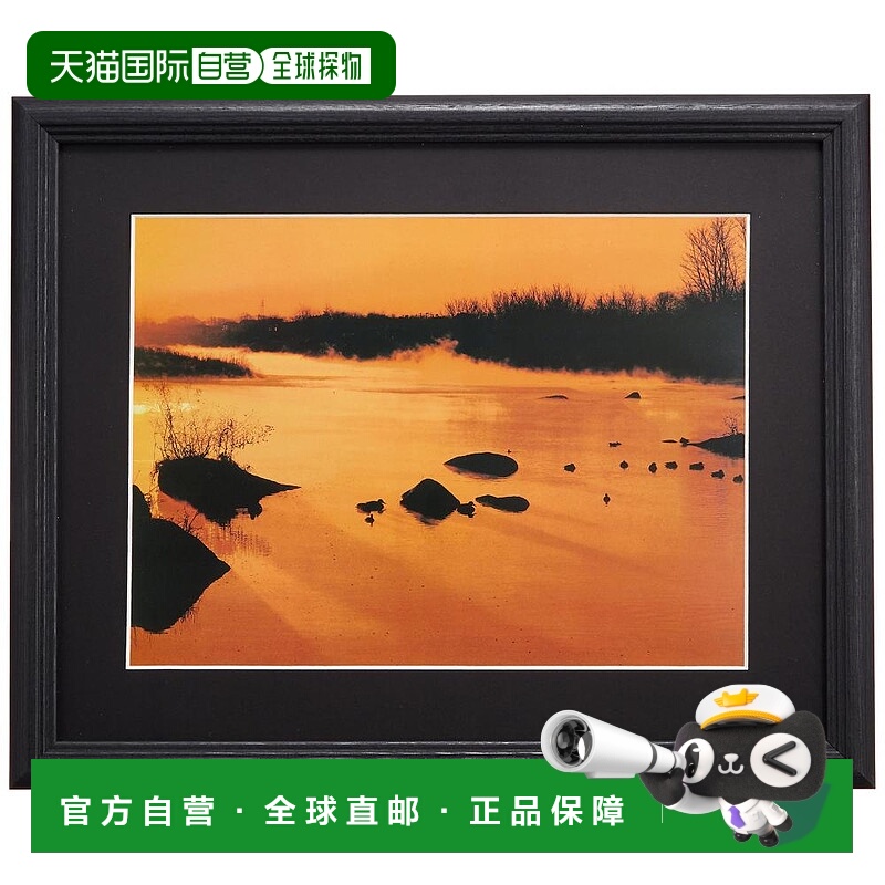 【日本直邮】Fujicolor富士胶片木制A4相框黑色 63367