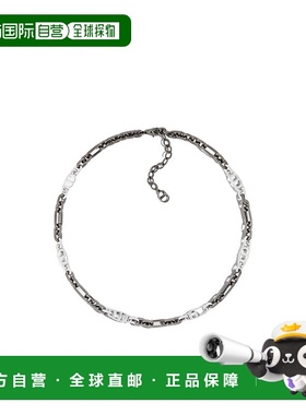 香港直邮DIOR 男士项链 N4003HOMMTD004 SS2025 灰色 Icon 链环项