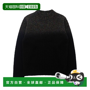 Garment 半高领毛衣 Dye Knit 2503832M Wool 香港直邮Sacai