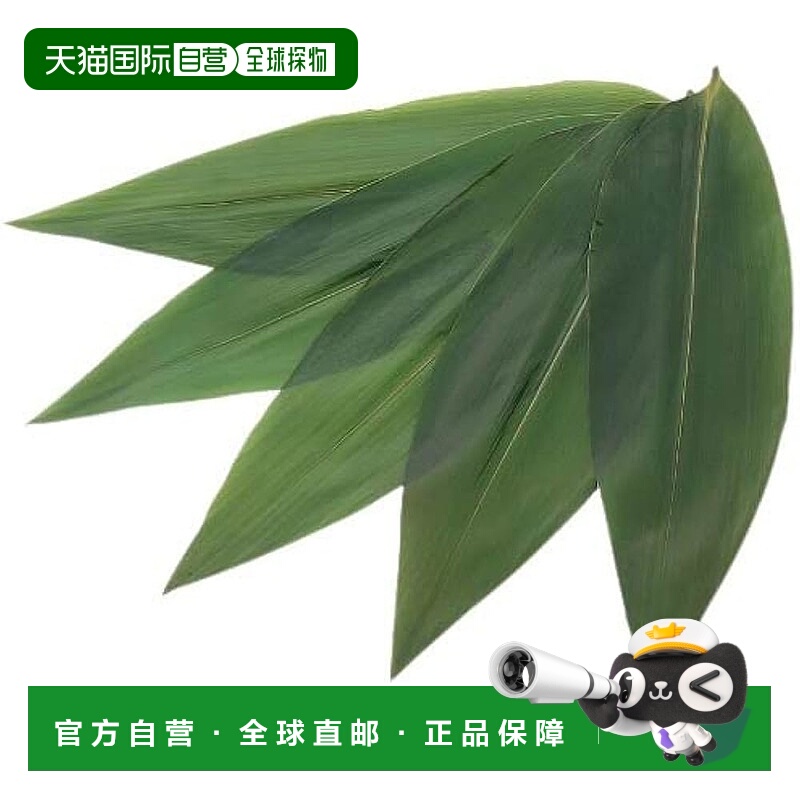 【日本直邮】天然笹叶100枚入5120 7S 5282010