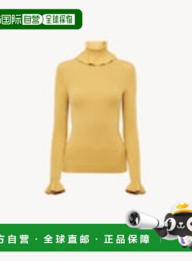 香港直邮CHLOÉ 女士针织衫 CH25AMP145204C4 AW2025 蓝色 高领毛