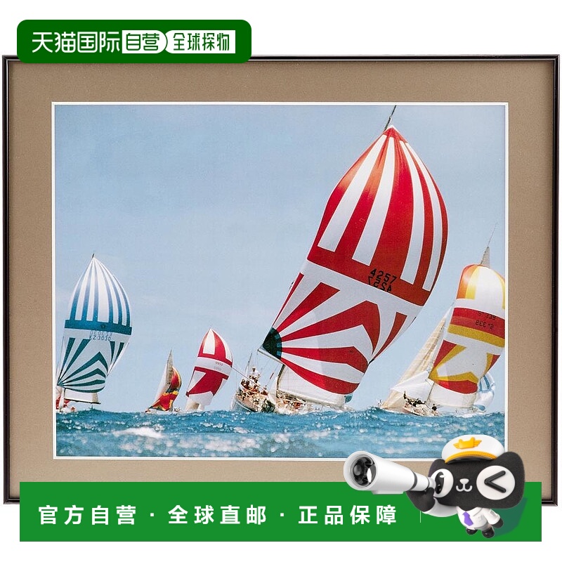 【日本直邮】Fujicolor富士胶片 亚克力金属相框 黑色 A105A  300