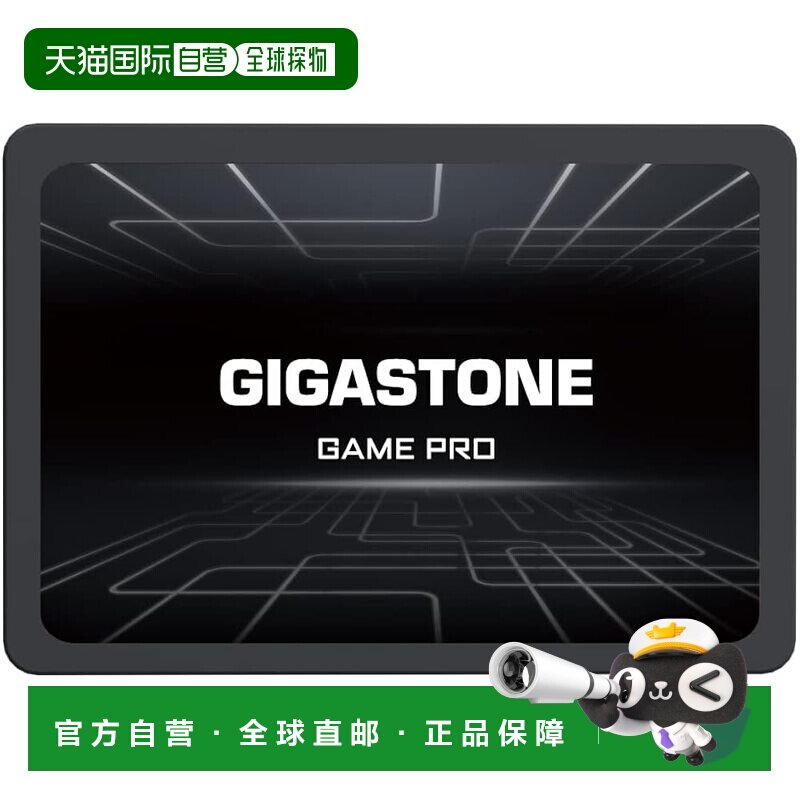 【日本直邮】GIGASTONE SATA SSD 4TB 2.5吋 Game Pro 510MB/s PS