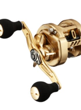 日本大和卷轴'21 Basara 100