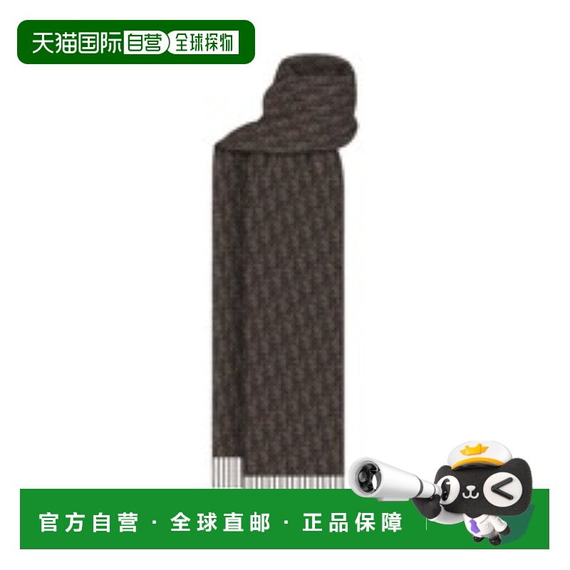 1h可退 香港直邮CHRISTIAN DIOR 男士围巾 49E0005A1005C789 SS20