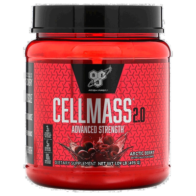 香港直发BSN锻炼修复浓缩 冰爽莓果味495g磷脂乙酰谷氨酰胺肌酸