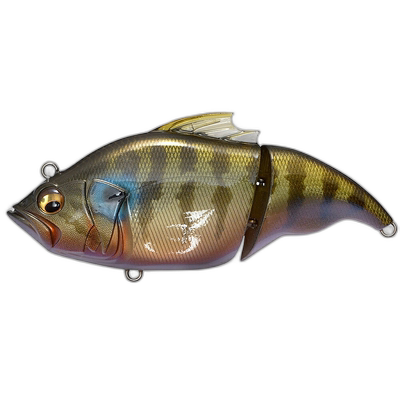 日本直邮低音 VATALION(F)（Vatalion Floating） ITO Cichlid