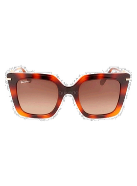 自营Salvatore Ferragamo SF 1041S 238 女士方形太阳镜 - 经典哈