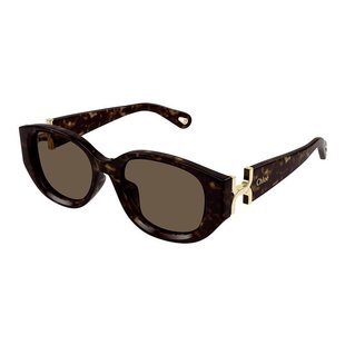 太阳镜 Chloe sunglasses 女士 CH0237SK002 蔻依