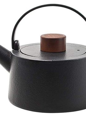 日本直邮SKATER斯凯达铁铸茶壶黑色1000ml简约烧水壶家用ITP2