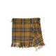 女士半身裙 8099716C1422 AW2024 BURBERRY 绿色 Skirt