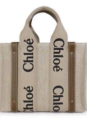 CHLOÉ 女士单肩包 CHC23AS397L1720X AW2024 花色