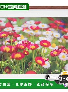 【日本直邮】FUJICOLOR 木制相框 M21 4 切 棕色 407895