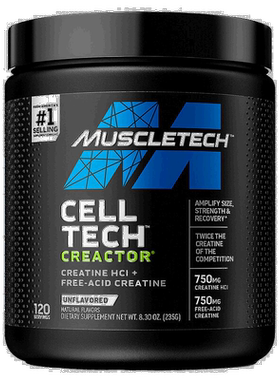 香港直发MUSCLETECH麦斯泰克肌酸盐酸舒缓身体疲劳肌肉塑性235g