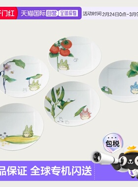 日潮跑腿Noritake则武 龙猫蔬菜系列15.5cm盘子套装5件 1704-15LV