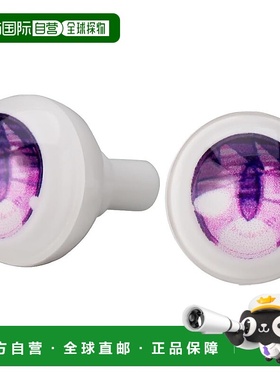 【日本直邮】黏土人娃娃 Dollアイ Make Up！れにゃ[紫色] 完成品