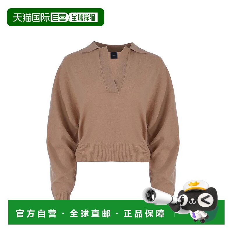 1h可退 香港直邮PINKO 女士针织毛衣 104050A22UC73 AW2024 棕色