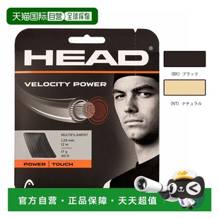网球线 MLT 单张 Velocity Power 速度多重力量 日本直邮海德