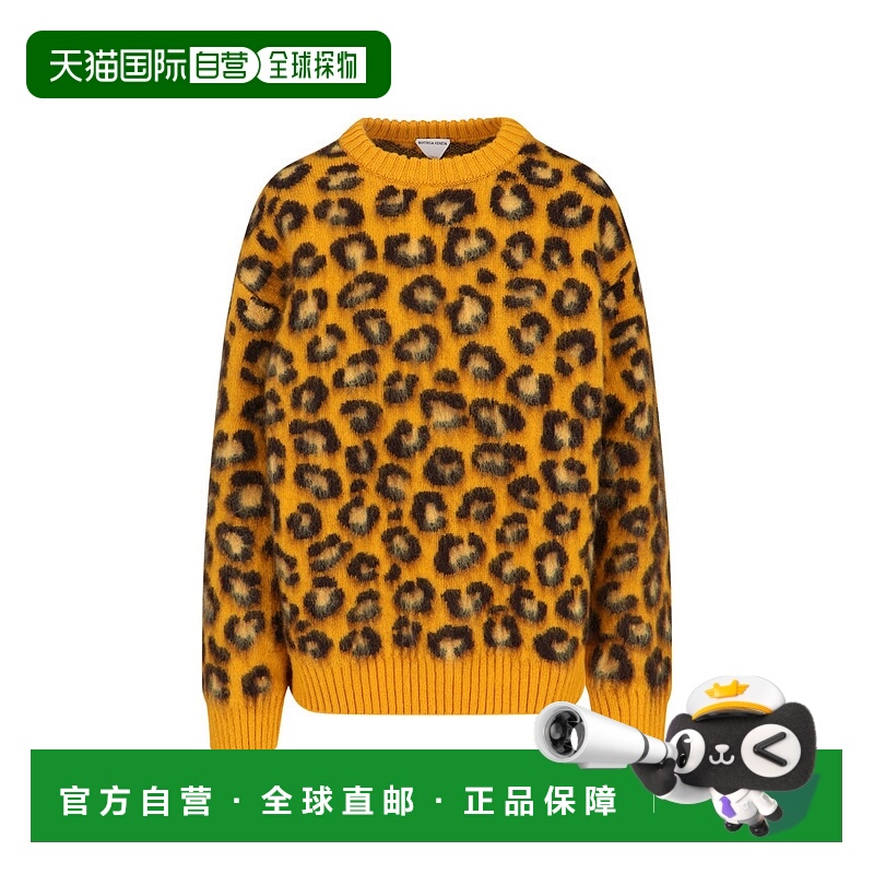1h可退 香港直邮BOTTEGA VENETA 女士针织衫 838958V5MC07103 AW2