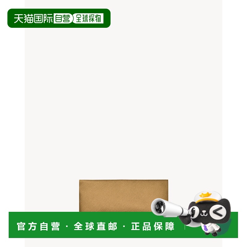 欧洲直邮YSL (2025) 晚装柔软缎面小包