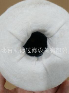 适用于瓦克夏燃气发电机滤芯C216-30/18 C16-30/18 过滤器168660B