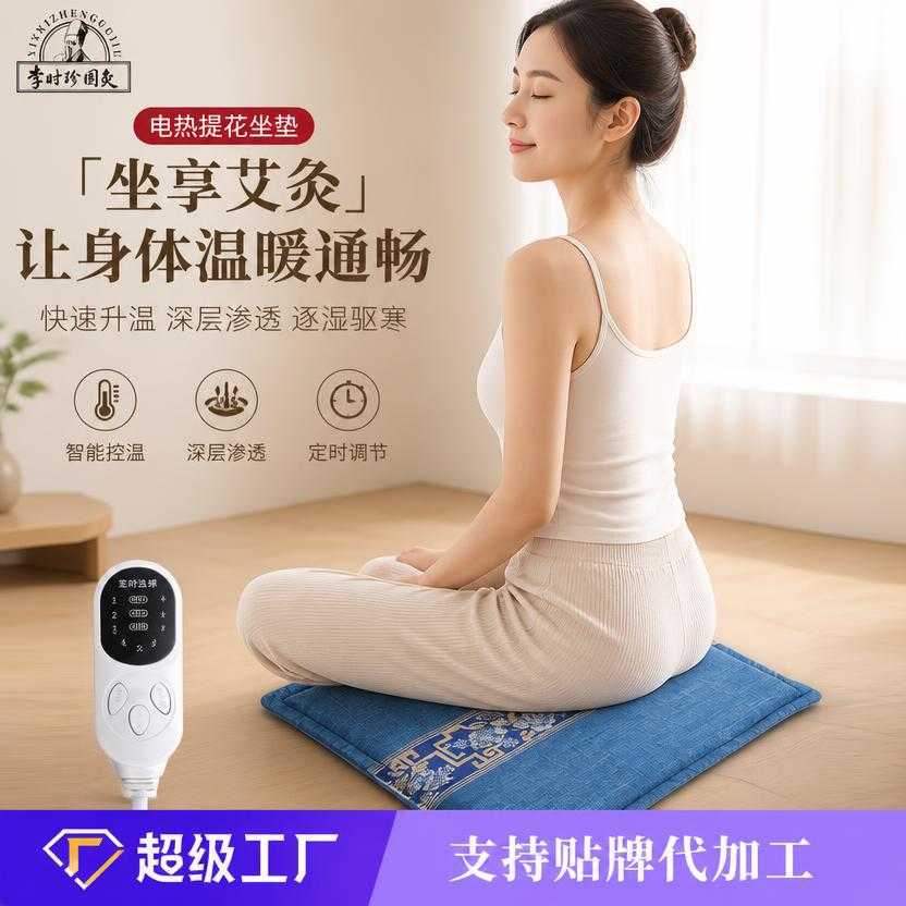 办公家用久坐神器四季通用艾草艾绒坐垫女性电发热臀部坐垫子定制