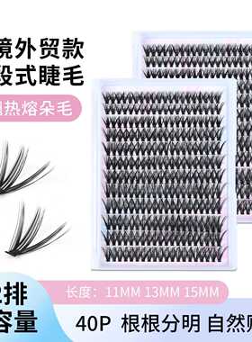 欧美30D40D假睫毛 热熔朵毛单簇自嫁接大容量分段式睫毛自然