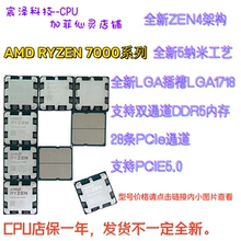 锐龙R5 7600X 8500GE R7 7700X 7800X3D 8700GE R9 7900X 7950X3D