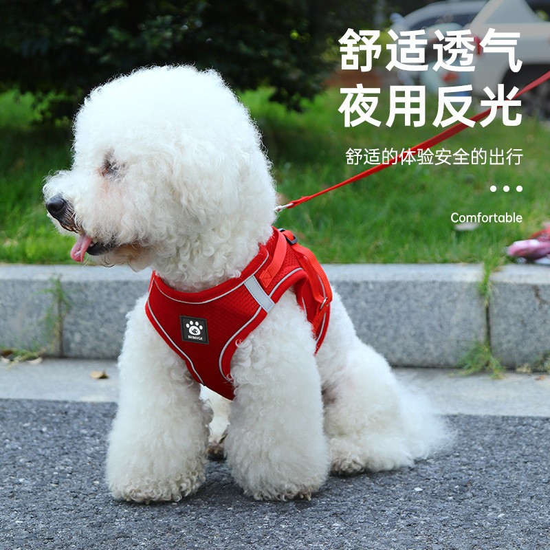 柯基宠物遛猫柴犬牵引带猫咪防走丢博美栓狗绳子防挣脱不勒脖幼猫