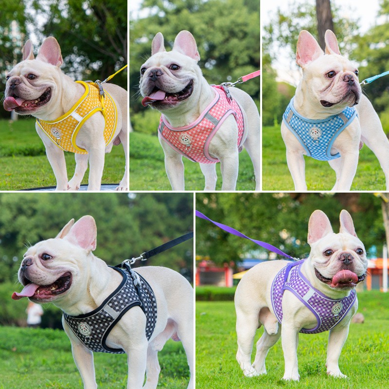 遛狗绳栓狗绳子防挣脱不勒脖狗链子防爆冲猫链轻便牵引带加粗小猫