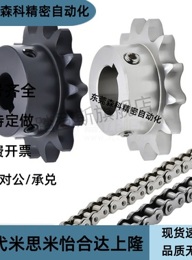 VLD02-35/SP35B06C 9 10 11 12 13 14 15 16 18 19 20 21链轮