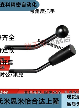 LAG/LAGN/5/6/8/10/12-30-60-100 固定型角度长手柄 带角度把手