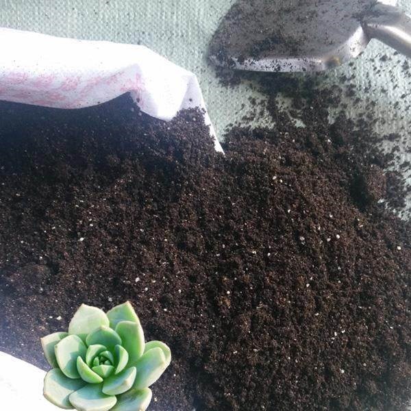 有机肥袋30斤大包装兰花家用营养土种植土50基质改良型有机在类目 鲜花速递/花卉仿真/绿植园艺, 园艺用品, 家庭园艺肥料/营养土/营养液中 - 来自Buy2taobao.com提供专业的淘宝代购服务