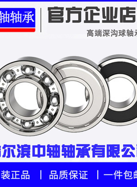 哈尔滨球轴承 6216 6217 6218 6219 6220 6221 6222 6224 ZZ 2RS