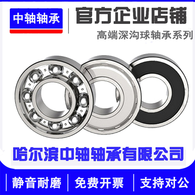 哈尔滨轴承高速电机6208-6215RS